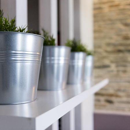 Albergue Goas Abadín Eksteriør billede